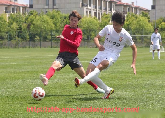 半岛体育app-五大联赛积分榜对比：西甲最新排名分析