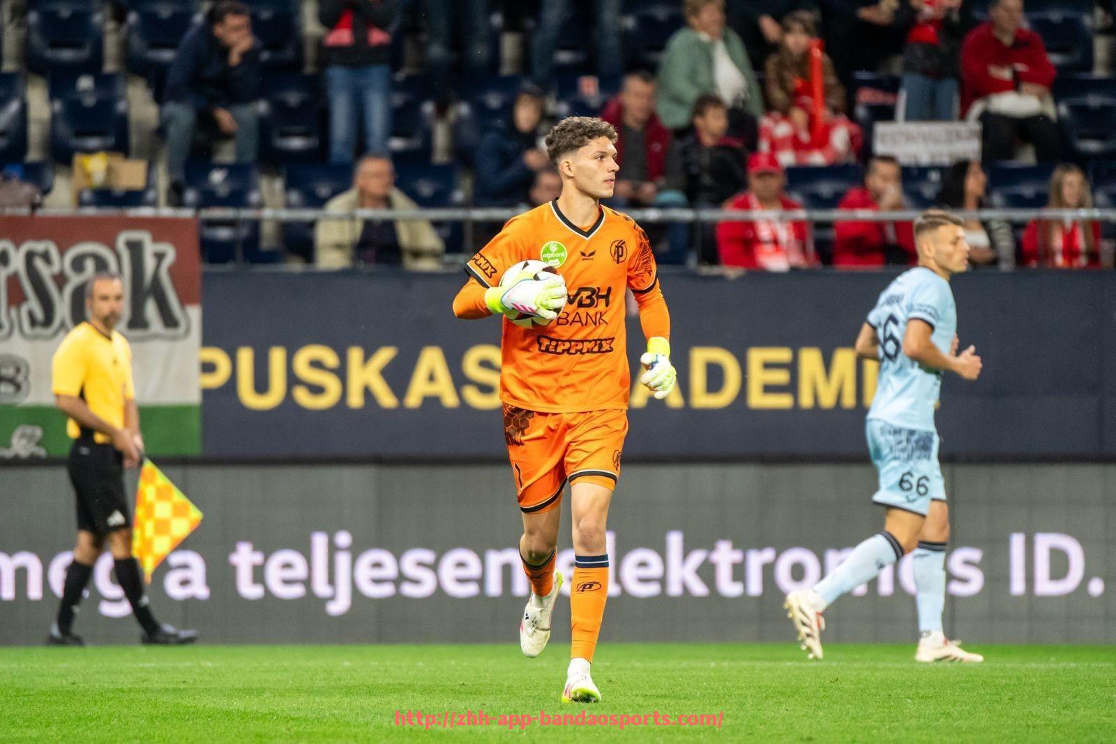 半岛体育app-新西兰地区西甲直播渠道及网络优化方案